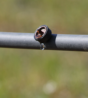 goutte à goutte culture