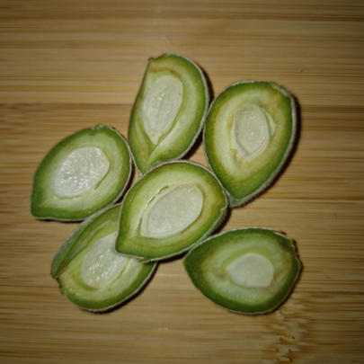 Amande fraîche en lait, amandon non formé.